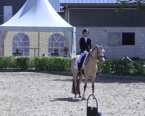 Reitturnier Olfen 2025
