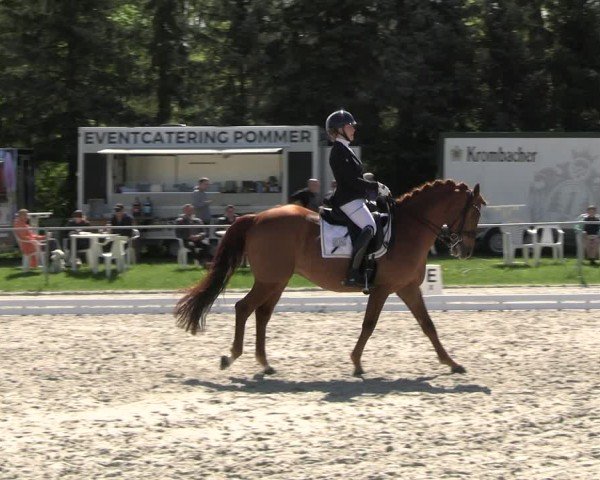 Reitturnier Pietzpuhl 2025