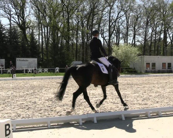 Reitturnier Pietzpuhl 2025