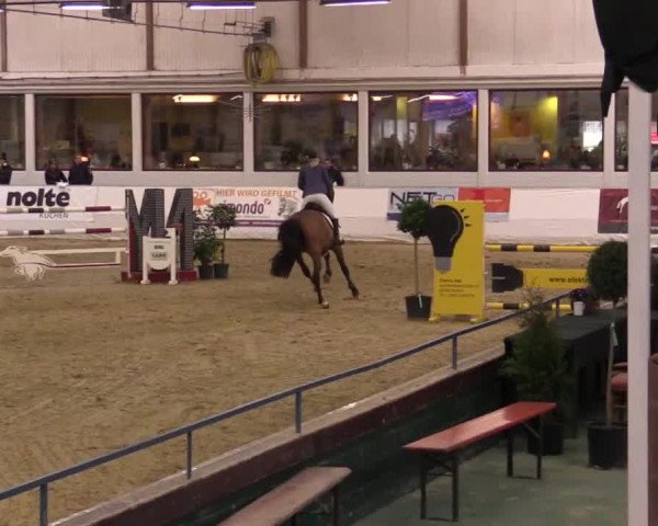 Hallenspringturnier in Borken 2014