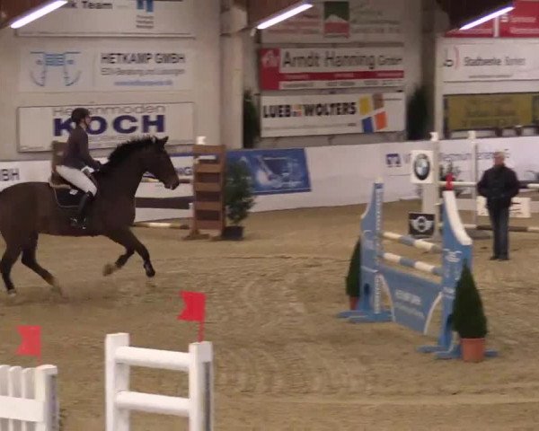 Hallenspringturnier in Borken 2014