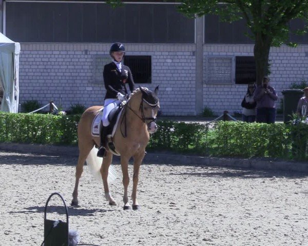 Reitturnier Olfen 2025