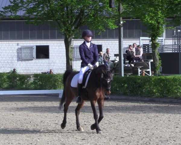 Reitturnier Olfen 2025