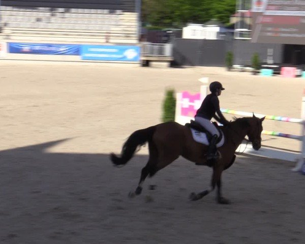 Reitturnier Aachen 2025