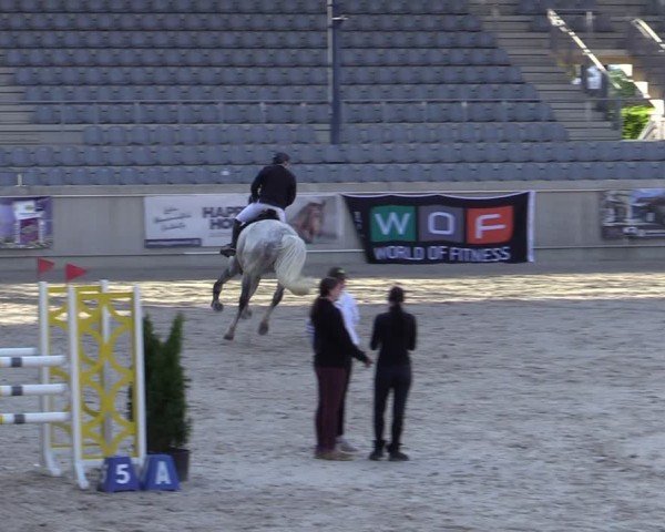 Reitturnier Aachen 2025