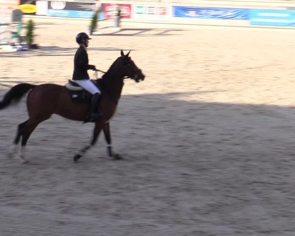 Reitturnier Aachen 2025