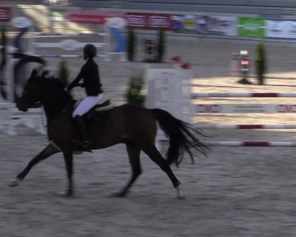 Reitturnier Aachen 2025