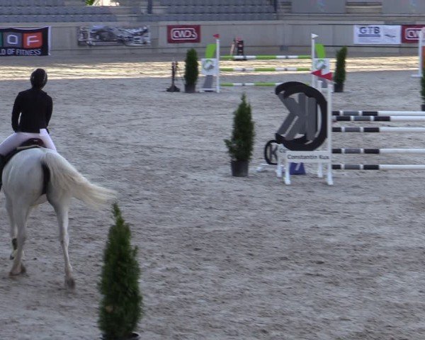Reitturnier Aachen 2025