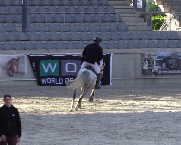 Reitturnier Aachen 2025