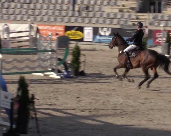 Reitturnier Aachen 2025