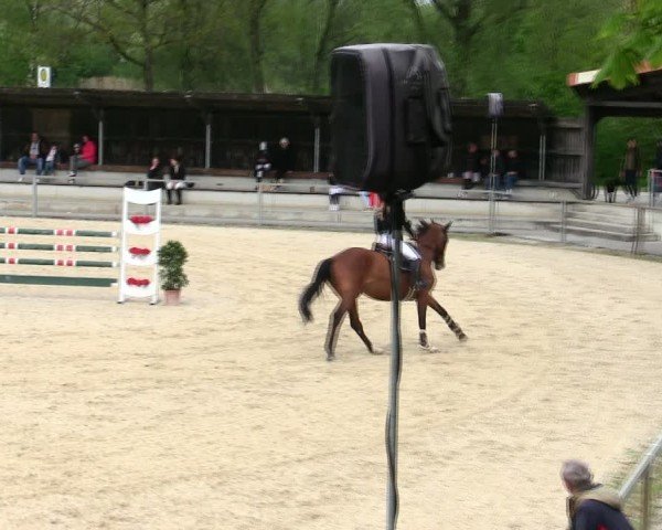 Reitturnier Ingolstadt-Hagau/Obb. 2025
