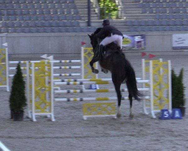 Reitturnier Aachen 2025