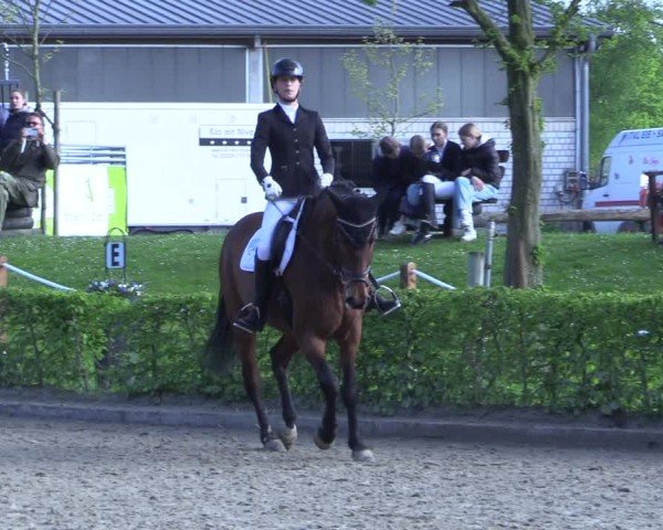 Reitturnier Olfen 2025