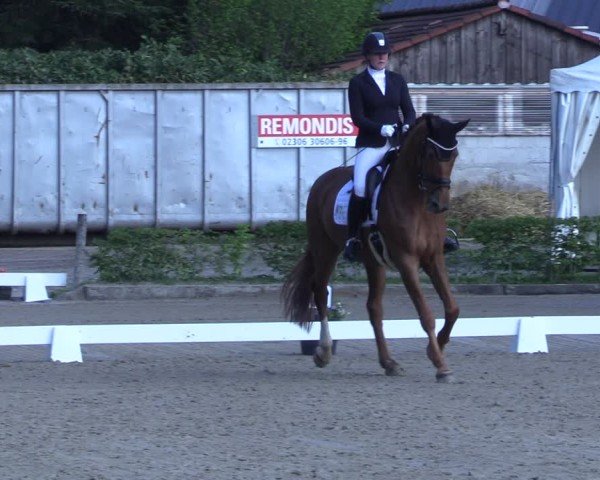 Reitturnier Olfen 2025