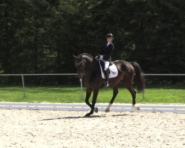 Reitturnier Pietzpuhl 2025