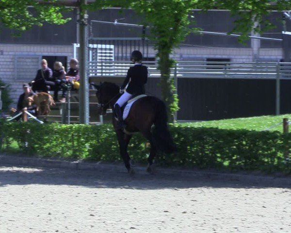 Reitturnier Olfen 2025