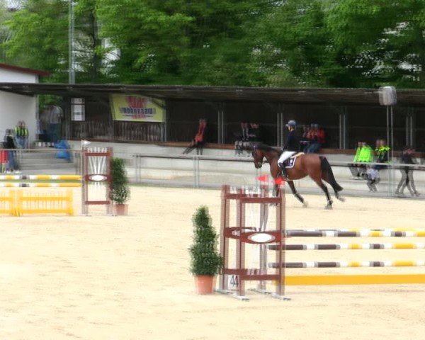 Reitturnier Ingolstadt-Hagau/Obb. 2025