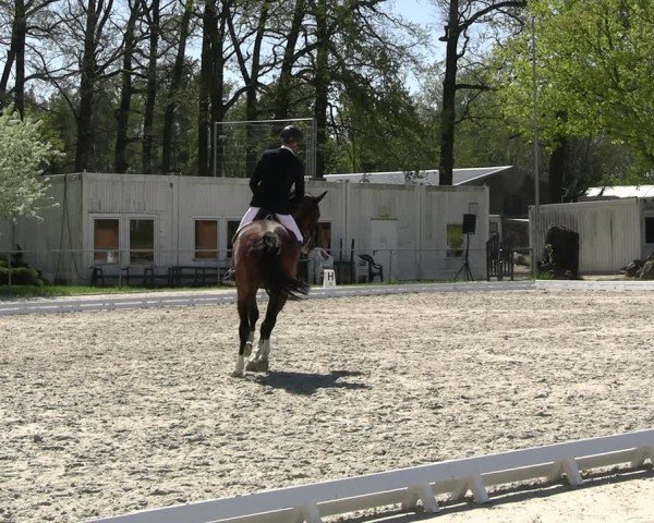 Reitturnier Pietzpuhl 2025
