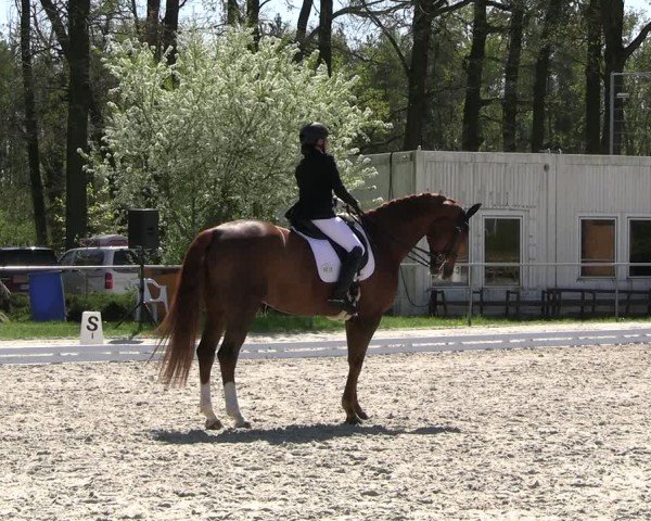 Reitturnier Pietzpuhl 2025