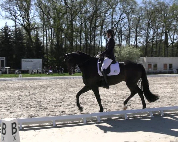 Reitturnier Pietzpuhl 2025