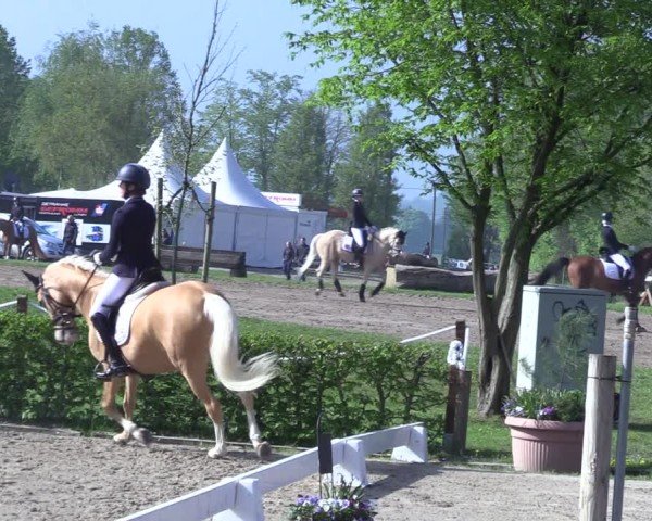 Reitturnier Olfen 2025