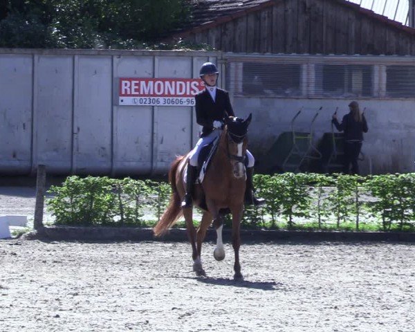 Reitturnier Olfen 2025
