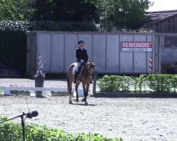 Reitturnier Olfen 2025