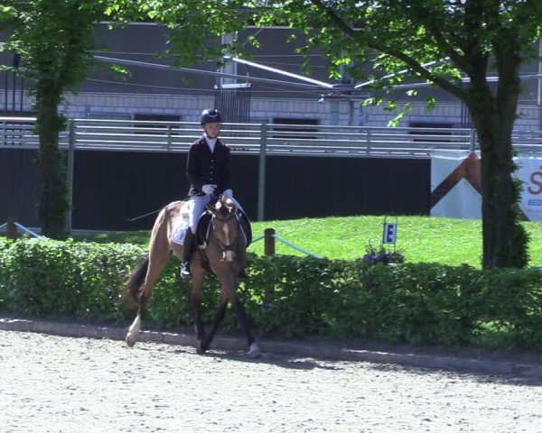 Reitturnier Olfen 2025
