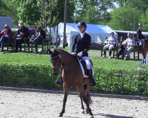 Reitturnier Olfen 2025