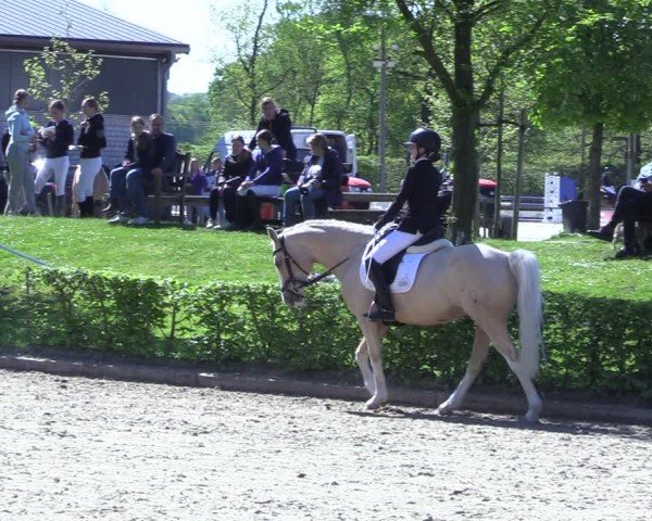 Reitturnier Olfen 2025