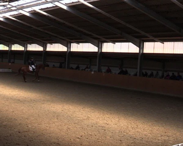Reitturnier Schlieckau 2025