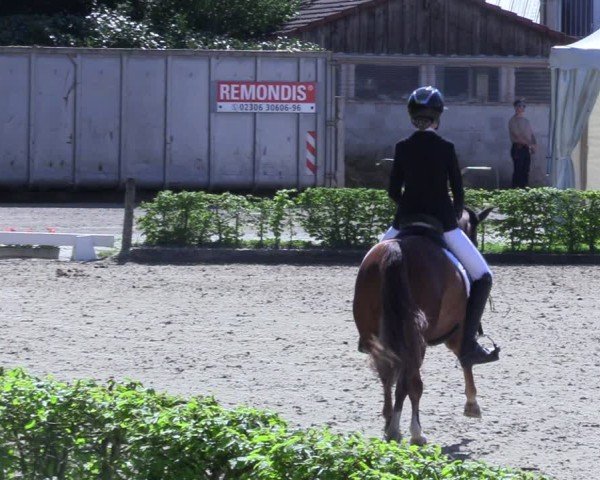 Reitturnier Olfen 2025