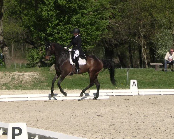 Reitturnier Pietzpuhl 2025