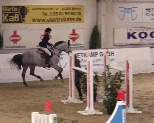 Hallenspringturnier in Borken 2014