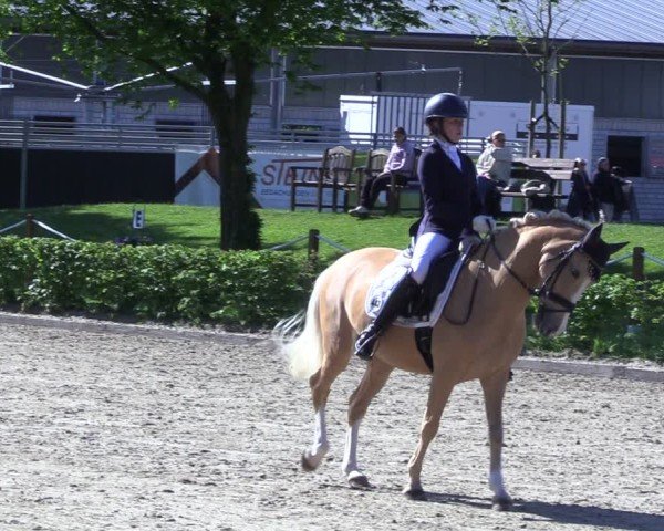 Reitturnier Olfen 2025