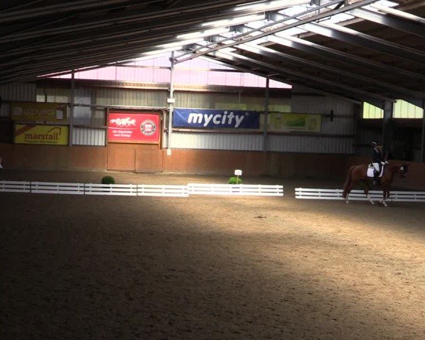 Reitturnier Schlieckau 2025
