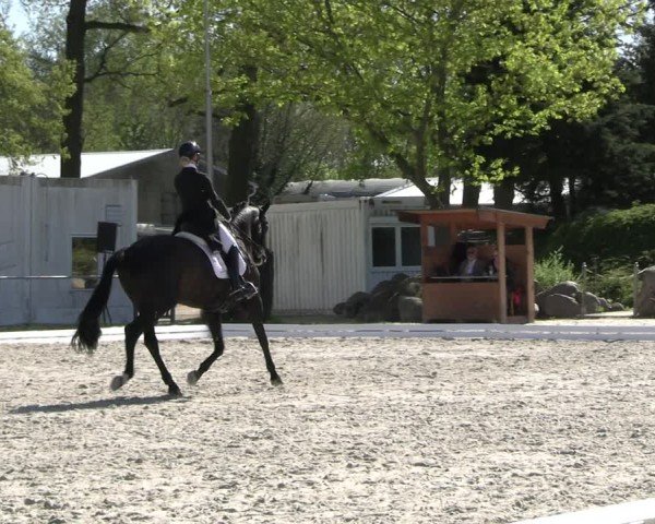 Reitturnier Pietzpuhl 2025