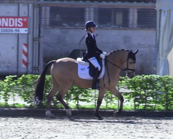 Reitturnier Olfen 2025