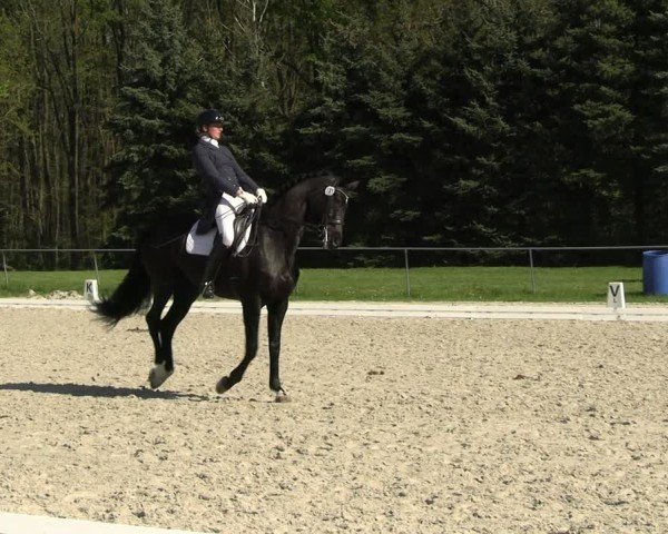 Reitturnier Pietzpuhl 2025