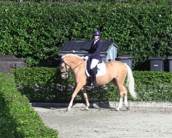 Reitturnier Olfen 2025