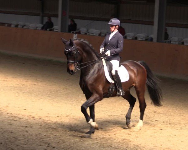 Reitturnier Schlieckau 2025