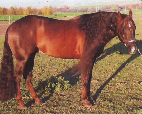 horse Boggies Flashy Pine (Quarter Horse, 1994, from Boggies Flashy Jac)