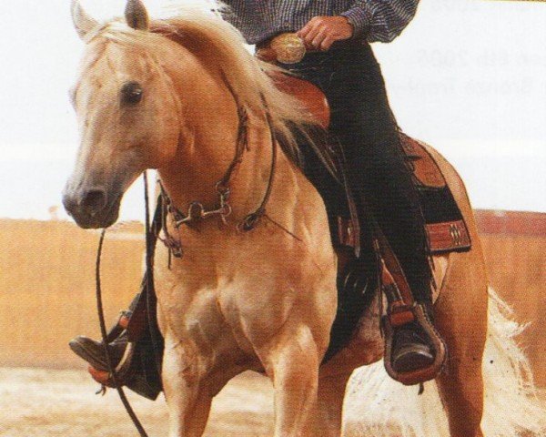 horse Achy Breaky Jac (Quarter Horse, 1992, from Boggies Flashy Jac)