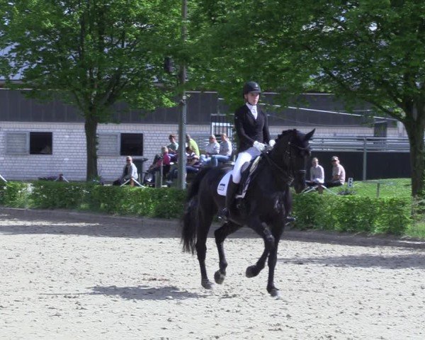 Reitturnier Olfen 2025
