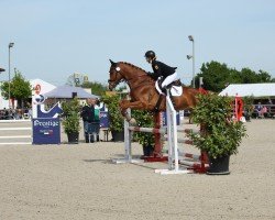 jumper Cayalino 2 (German Sport Horse, 2015, from FBW Cayton)