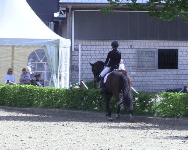 Reitturnier Olfen 2025