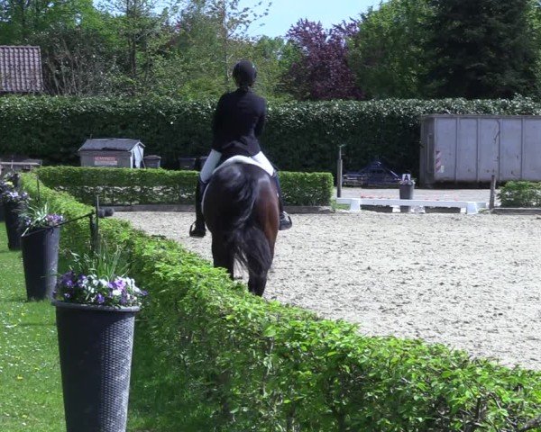 Reitturnier Olfen 2025