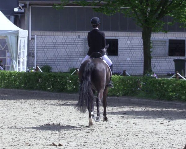 Reitturnier Olfen 2025