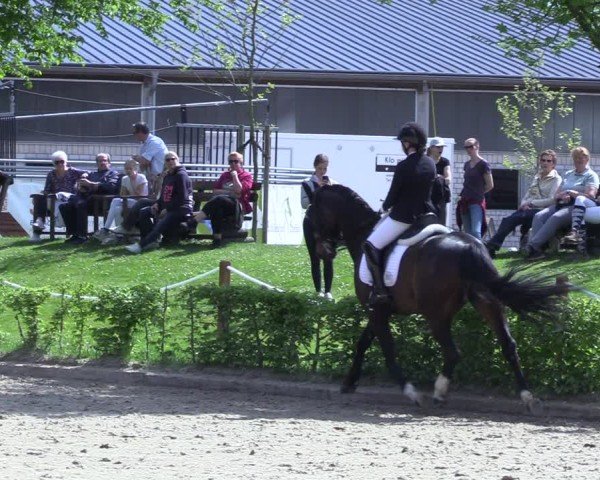 Reitturnier Olfen 2025
