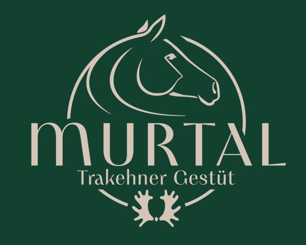 Trakehner Gestüt Murtal
